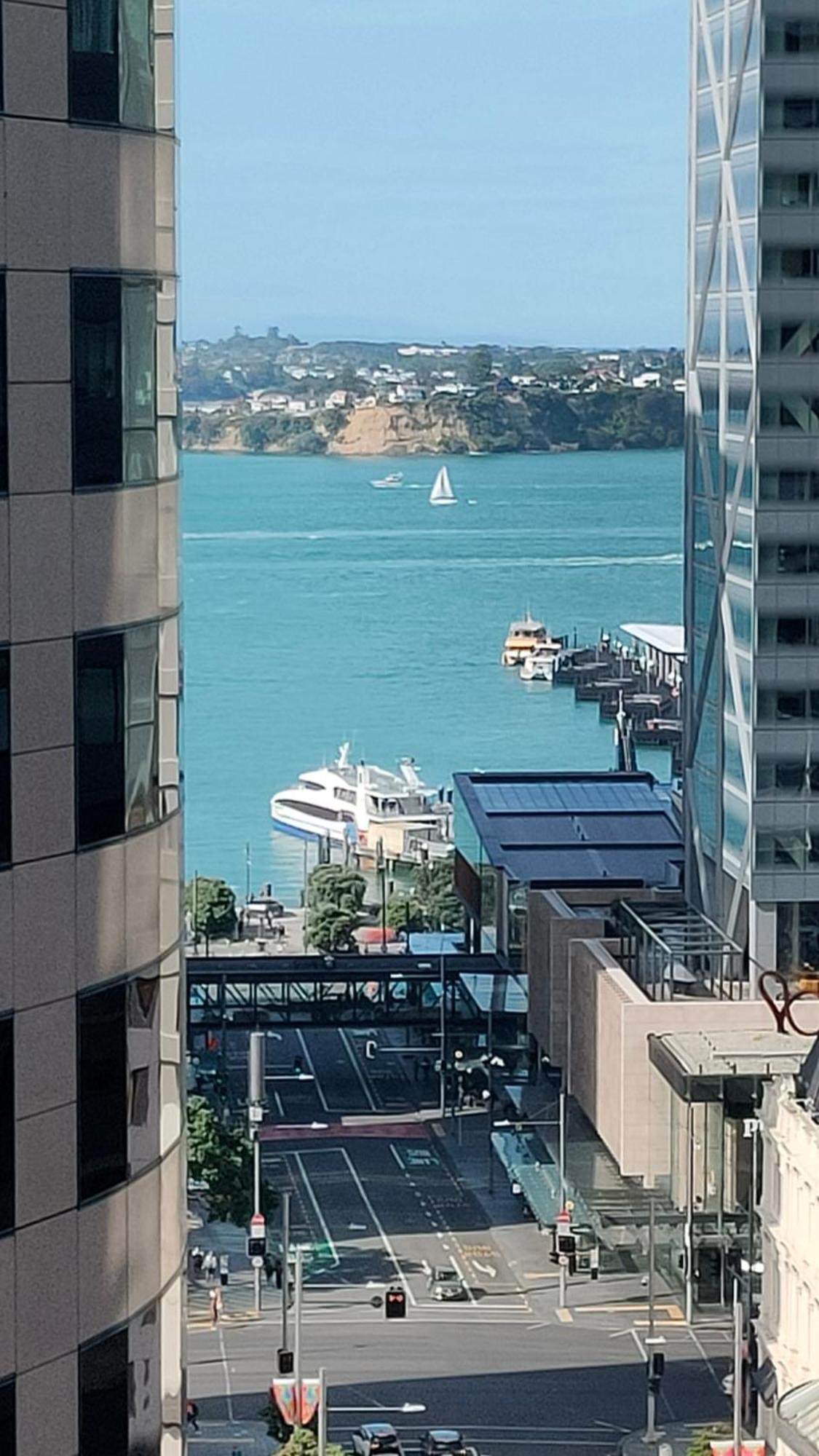 20 Pct Off Sky Stars Park Apartment Auckland Cameră foto